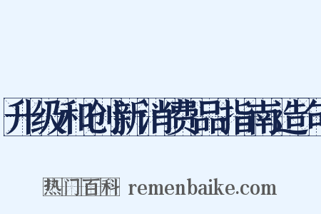 升级和创新消费品指南造句是什么意思的图片